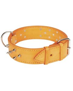 Obroża dla psa Champion skóra podwójna z ćwiekami kolcami - 75 x 5 cm - Oranż