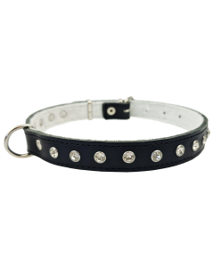 Obroża dla psa Champion skórzana na filcu + cyrkonie - 45 x 2,5 cm - Czarna