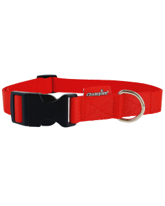 Obroża dla psa Champion taśmowa na zatrzask - 40 x 1,6 cm - Czerwona