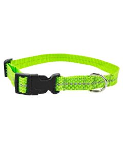 Obroża dla psa Champion taśmowa z odblaskiem na zatrzask - 40 x 1,6 cm - Zielona