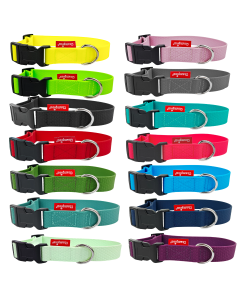 Obroża dla psa Champion gumowa