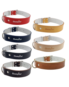 Obroża dla psa Champion skórzana na filcu - różne kolory