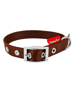 Obroża dla psa Champion taśmowa - 70 x 2,5 cm - Brązowa