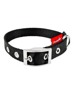 Obroża dla psa Champion taśmowa - 75 x 2,5 cm - Czarna