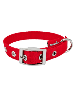 Obroża dla psa Champion taśmowa - 65 x 2,5 cm - Czerwona