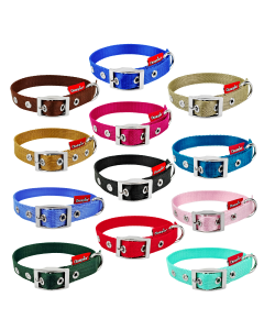 Obroża dla psa Champion taśmowa - różne kolory i rozmiary
