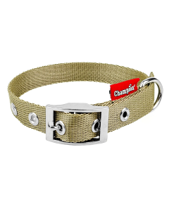 Obroża dla psa Champion taśmowa - 30 x 1,3 cm - Khaki