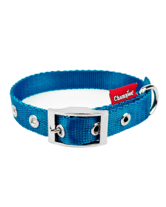 Obroża dla psa Champion taśmowa - 45 x 1,6 cm - Turkusowa