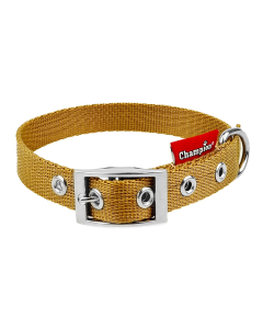 Obroża dla psa Champion taśmowa - 50 x 2 cm - Złoty