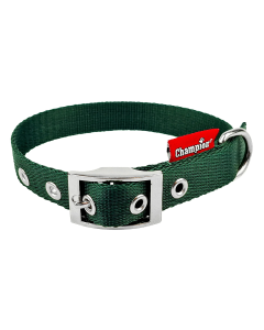 Obroża dla psa Champion taśmowa - 45 x 1,6 cm - Zielona