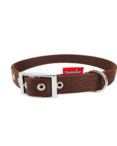 Obroża dla psa Champion taśmowa wzmocniona - 70 x 2,5 cm - Brązowa