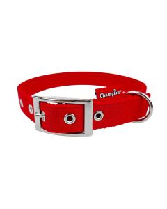 Obroża dla psa Champion taśmowa wzmocniona - 60 x 2,5 cm - Czerwona