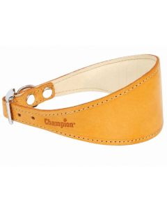 Obroża dla psa zapinana Champion typ Chart 2 skórzana - 50 x 7 cm - Oranż