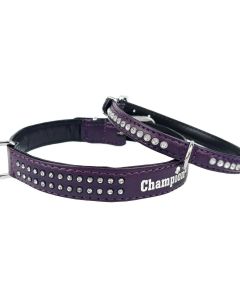 Obroża dla psa Champion eko skóra + cyrkonie - 30 x 1,2 cm - Fioletowa