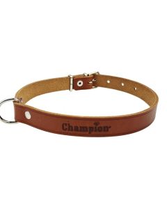 Obroża dla psa Champion skórzana - 50 x 1,8 cm - Koniak