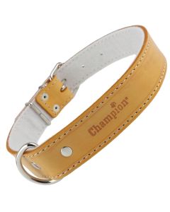Obroża dla psa Champion skórzana na filcu - 40 x 2,5 cm - Oranż