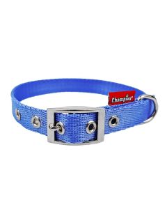 Obroża dla psa Champion taśmowa - 35 x 1,3 cm - Błękitna