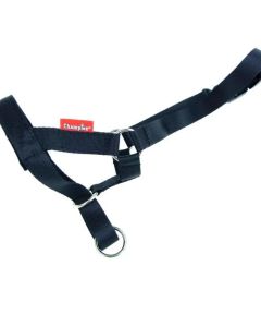 Kantar dla psa CHAMPION Uzdowy rozm. XS - regulacja i wygoda