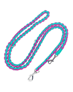 Smycz dla psa Champion pleciona - 2,4 m x 2 cm - Mięta-fuksja