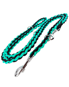 Smycz dla psa Champion pleciona - 2,4 m x 2 cm - Miętowo-czarna