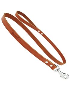 Smycz dla psa prosta Champion skórzana - 1,2 m x 2 cm - Koniak