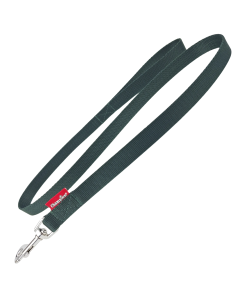 Smycz dla psa prosta Champion taśmowa - 1,2 m x 2 cm - Zielona