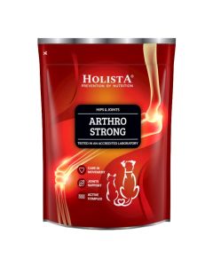 Suplement na stawy dla psów Holista Arthro Strong proszek 600 g