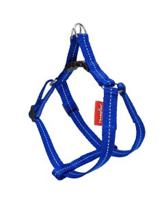 Szelki step-in Champion 40, 1,3 cm, niebieskie - odblask