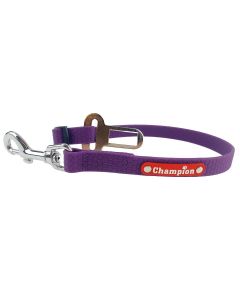 Zaczep smycz dla psa do pasów samochodowych gumowa - 1,6 cm - Fioletowy