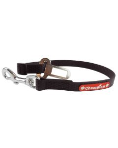 Zaczep smycz dla psa do pasów samochodowych gumowa 1,6 cm - Czarny