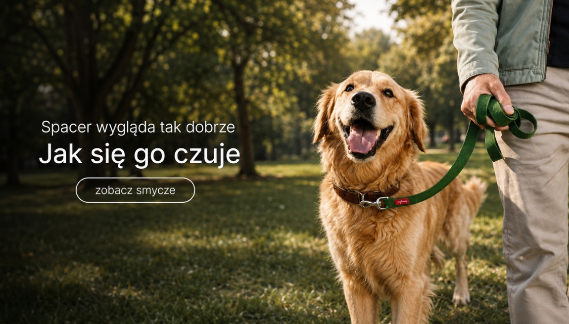 Smycze dla psa